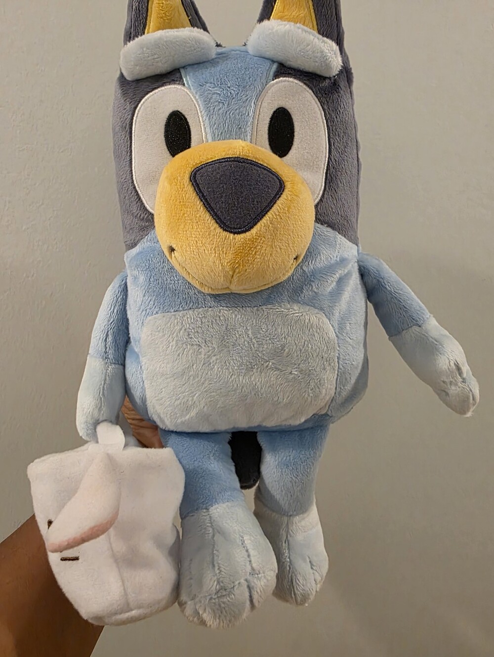 Bluey - Picture 8 of 9
